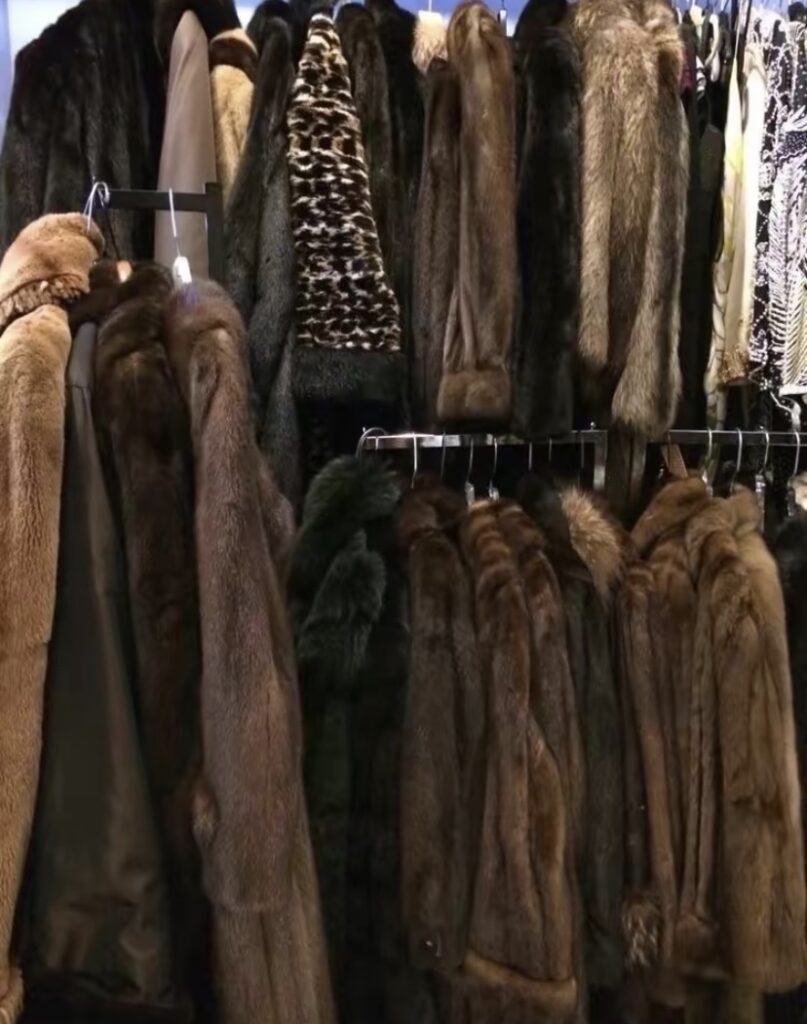 CLEAN GIRL IS OUT - HOW TO GET THE MOB WIFE AESTHETIC