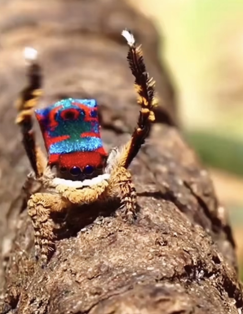 5 Unbelievable Animals You Won’t Believe Actually Exist