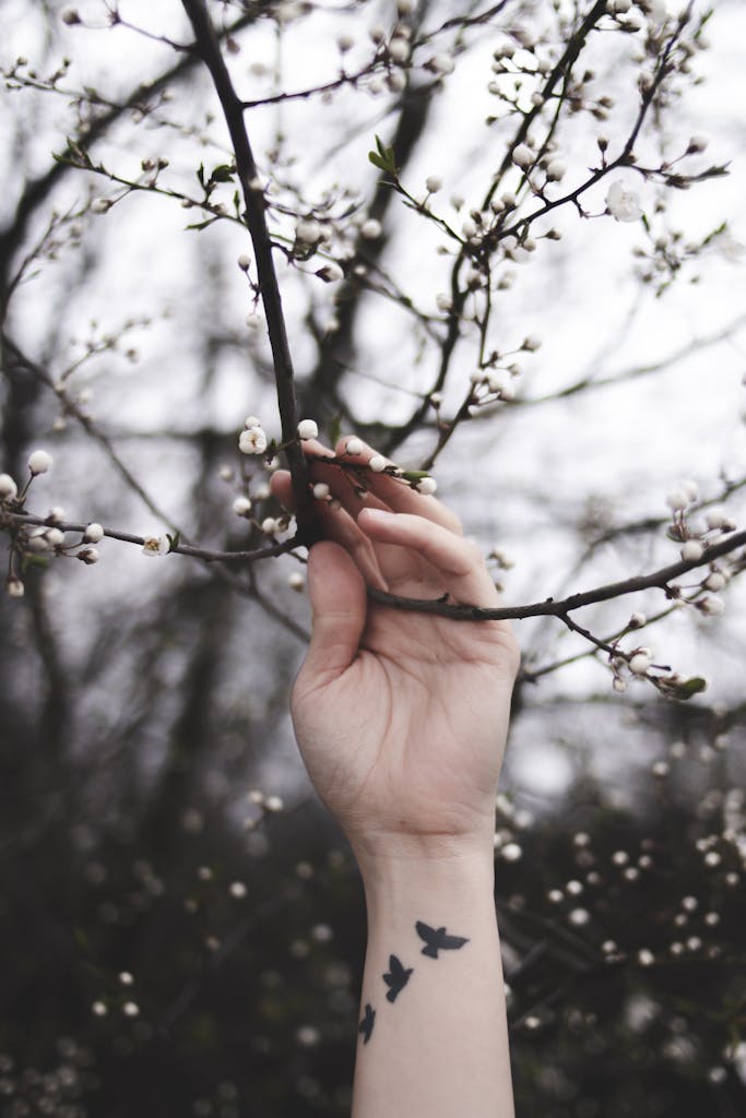 Person Holding Twig