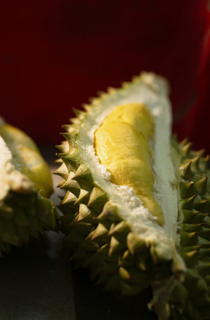 15 Shocking Food and Drink Forbidden Around the World