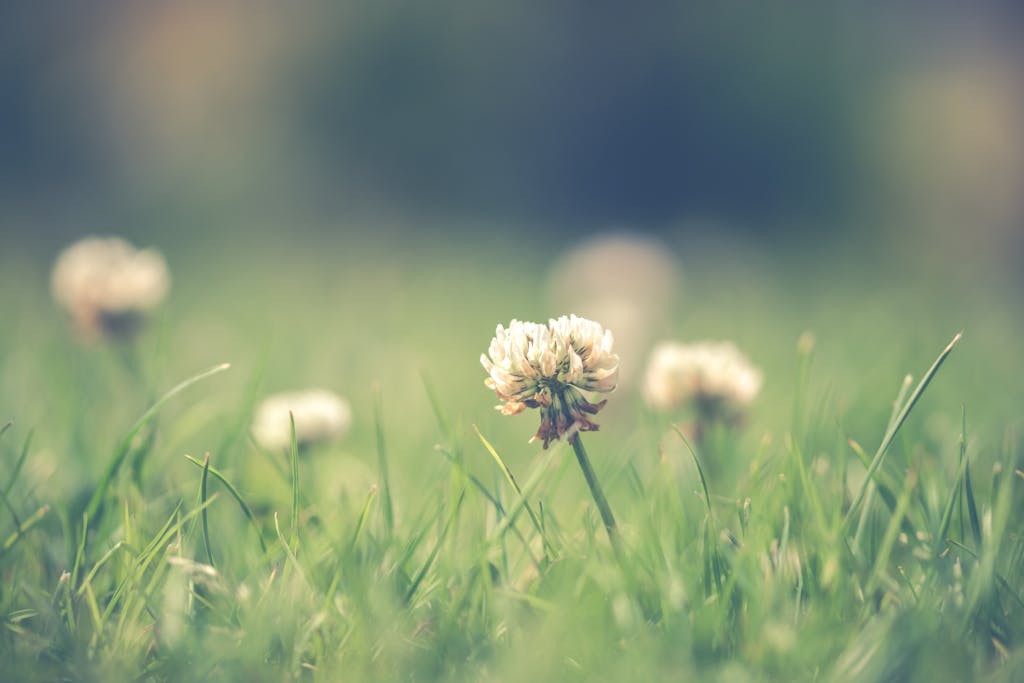 47 Things You Can Eat in the Wild To Help You Survive