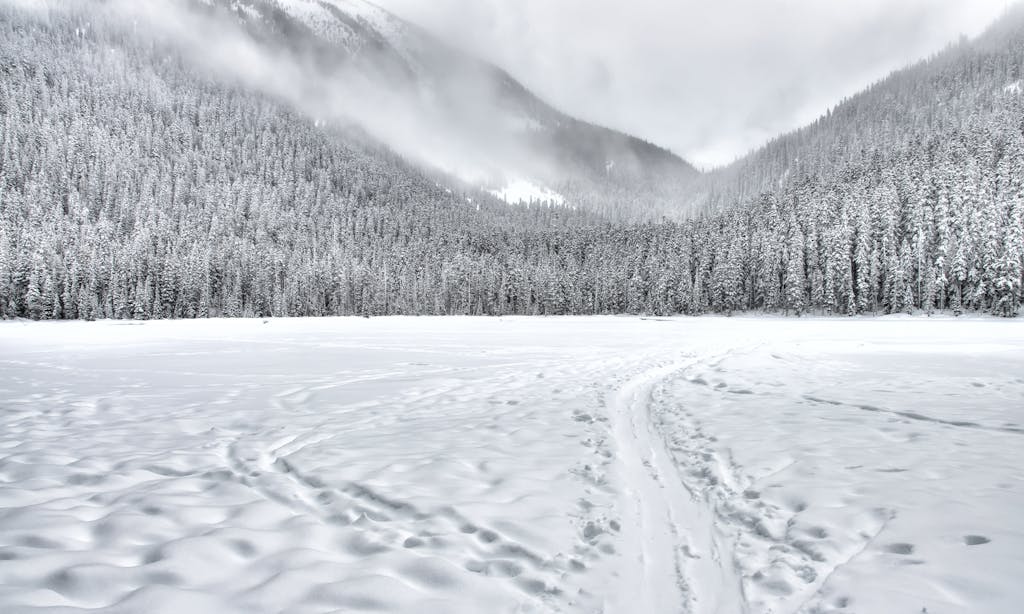 12 Winter Wonderland Places You Need to Visit