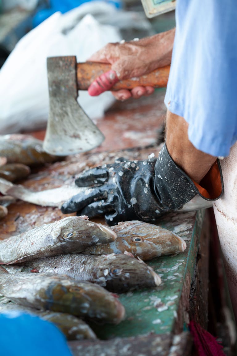 ‘On Our Knees’: British Fishermen Blast French Boats for Ignoring Brexit Rules