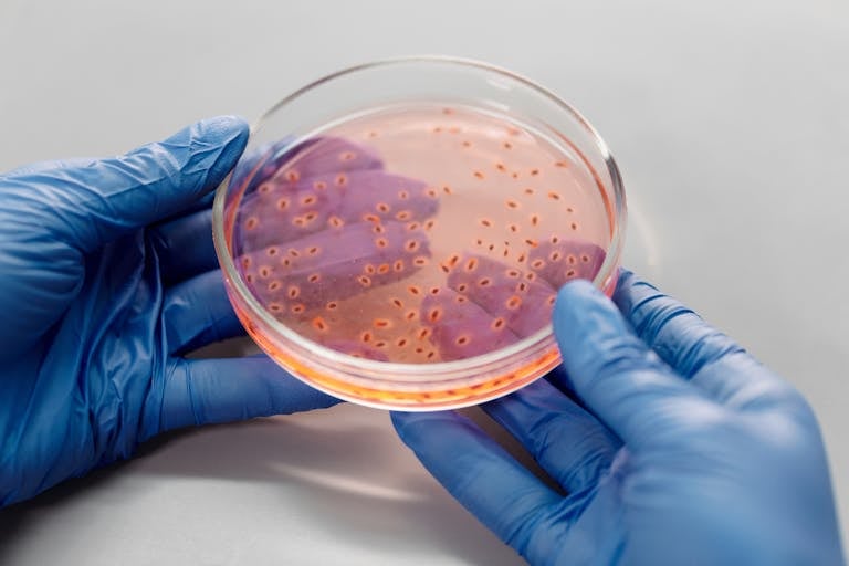 “Severe or life-threatening” Illness Alert from Prof Chris Whitty