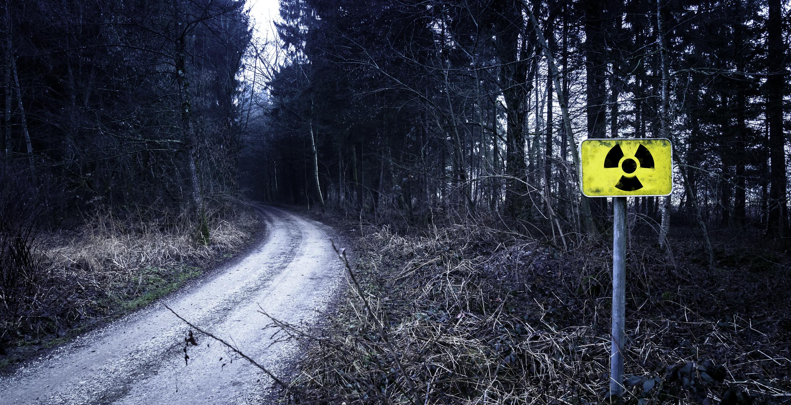 A radiation warning sign by a forest pathway in a gloomy setting.