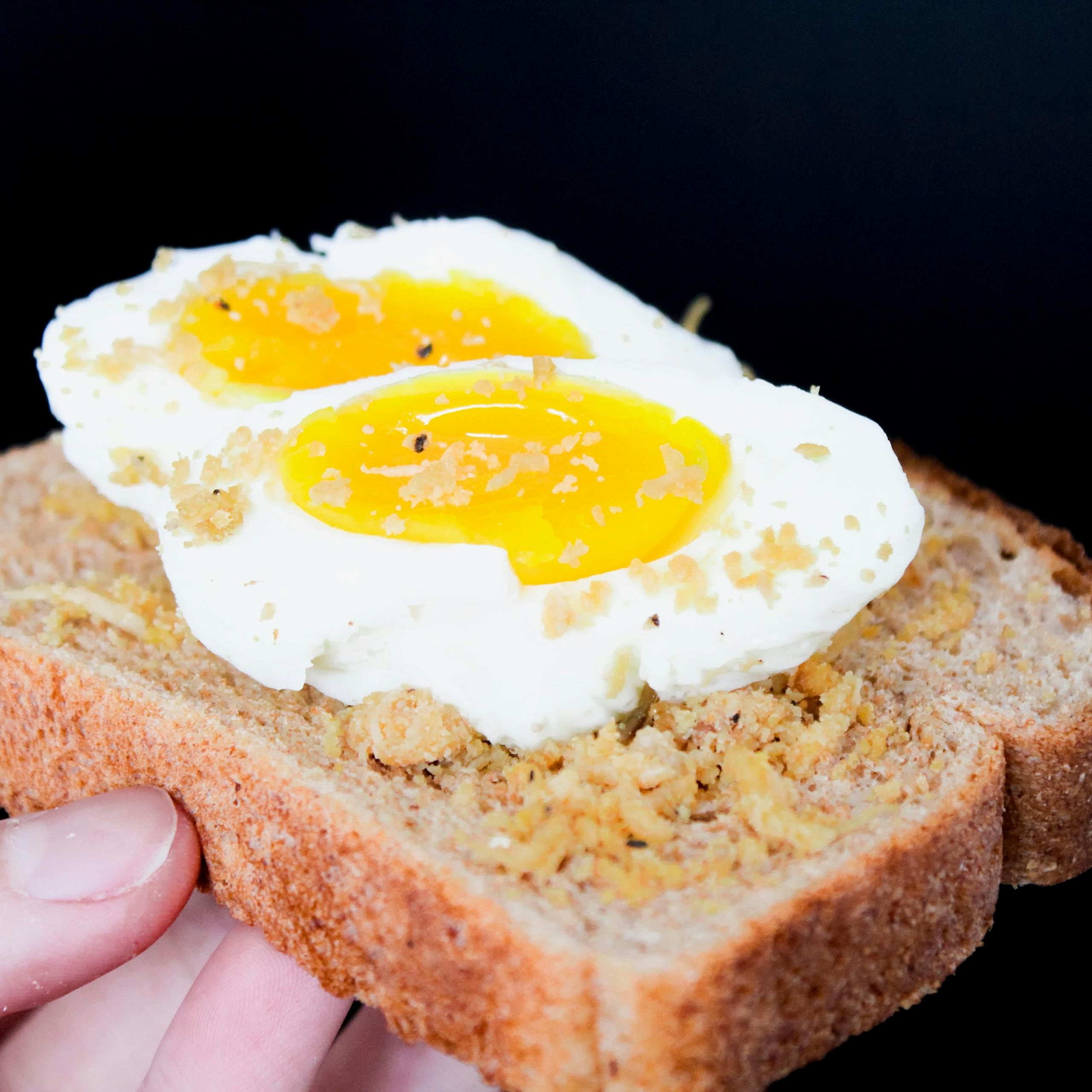 Close-up of a fried egg on whole wheat toast garnished with crumbs, showcasing the perfect breakfast meal.
