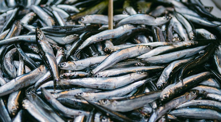 9 British Foods Boomers Swear By (That Gen Z Won’t Touch)