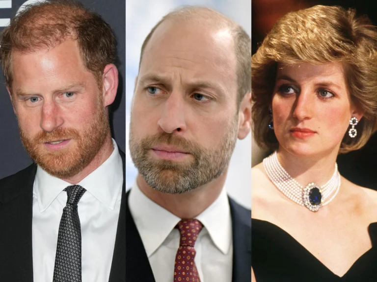 Prince William reportedly ‘sickened’ by Harry and Meghan Diana movie plans amid ongoing family tensions